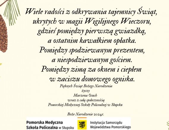 Wesołych Świąt Bożego Narodzenia !